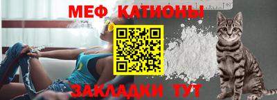 дживик Аша