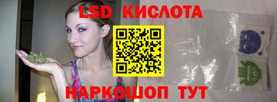 дживик Аша