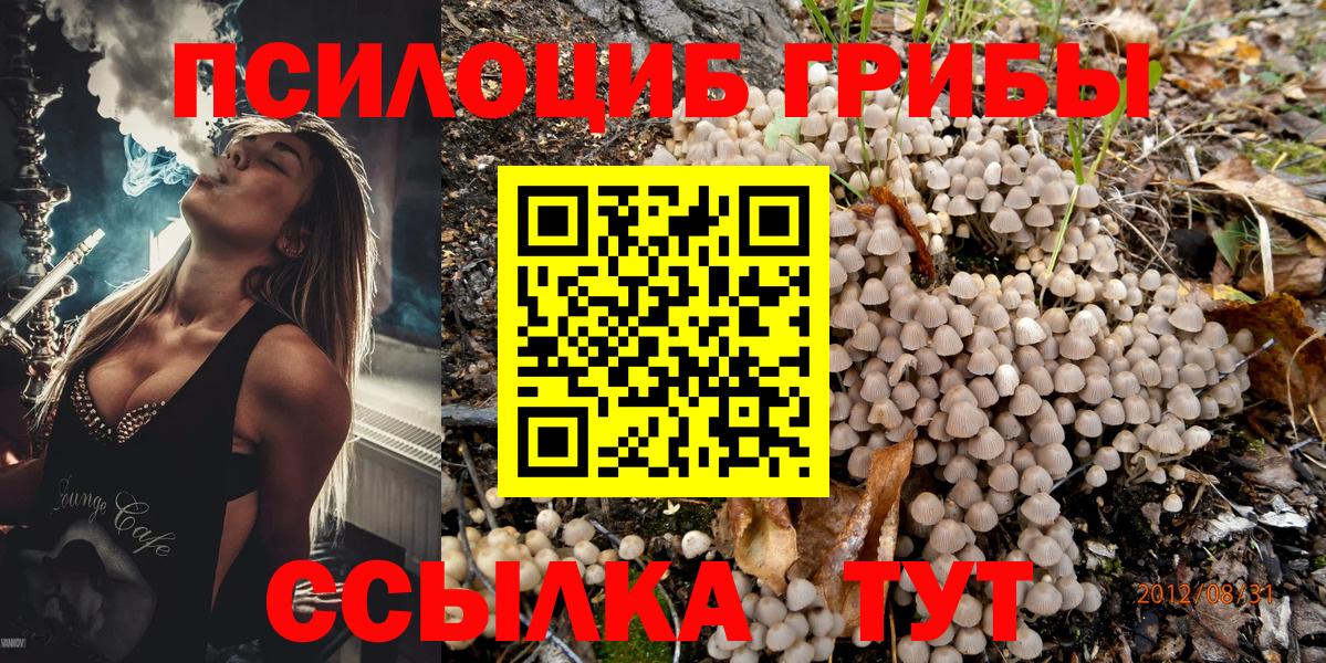 Галлюциногенные грибы Psilocybe  Псилоцибиновые грибы мухоморы  Вход с VPN  где купить наркотик  Дедовск 